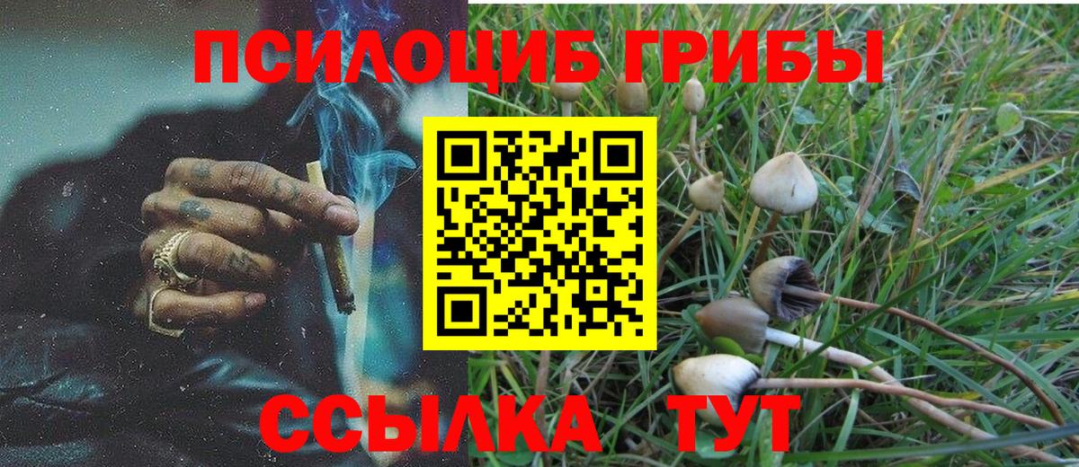 Галлюциногенные грибы GOLDEN TEACHER Горячий Ключ