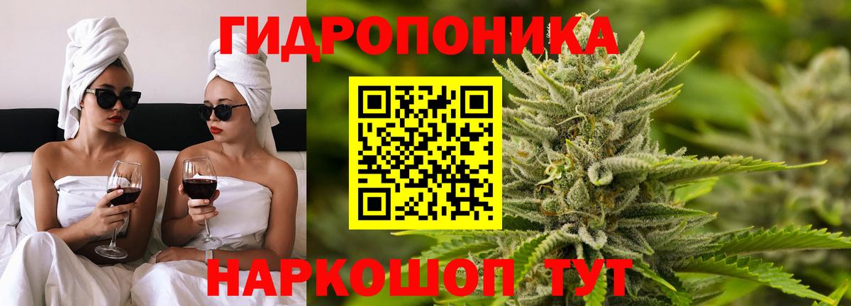 Конопля LSD WEED  Бошки Шишки THC 21%  Вход с VPN  Канабис индика  Горячий Ключ 